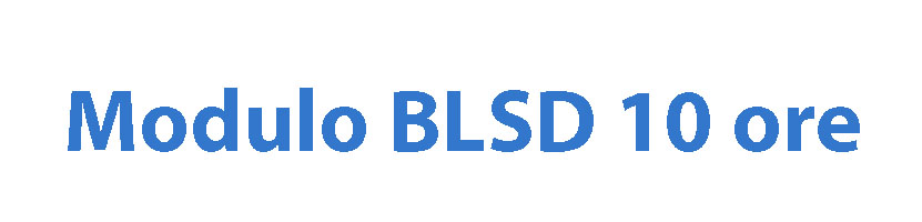 Modulo BLS-D